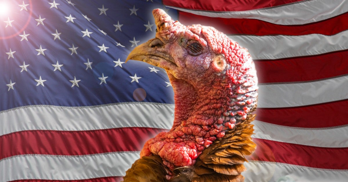 5 ciekawostek o Święcie Dziękczynienia (Thanksgiving)